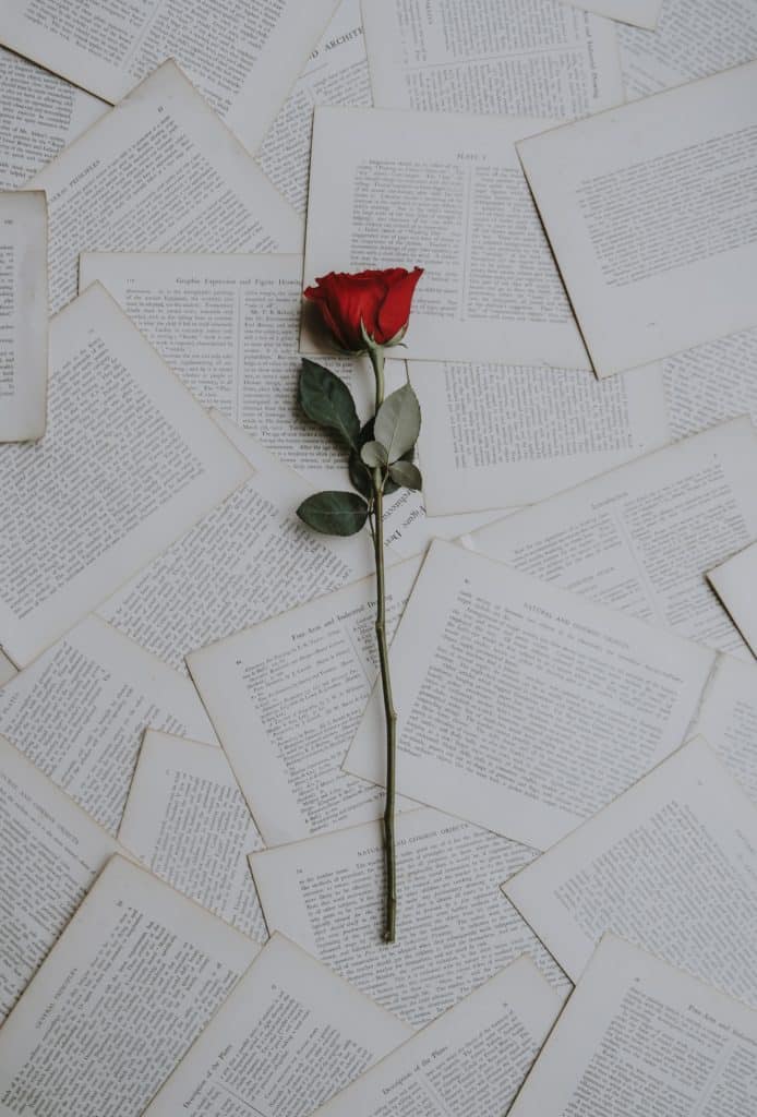 Ruža na papirima
