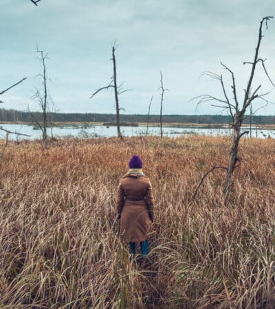 najbolje skandinavske serije