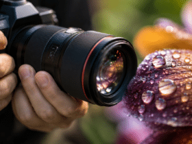 Krupni plan u fotografiji: 13 trikova za wow kadar